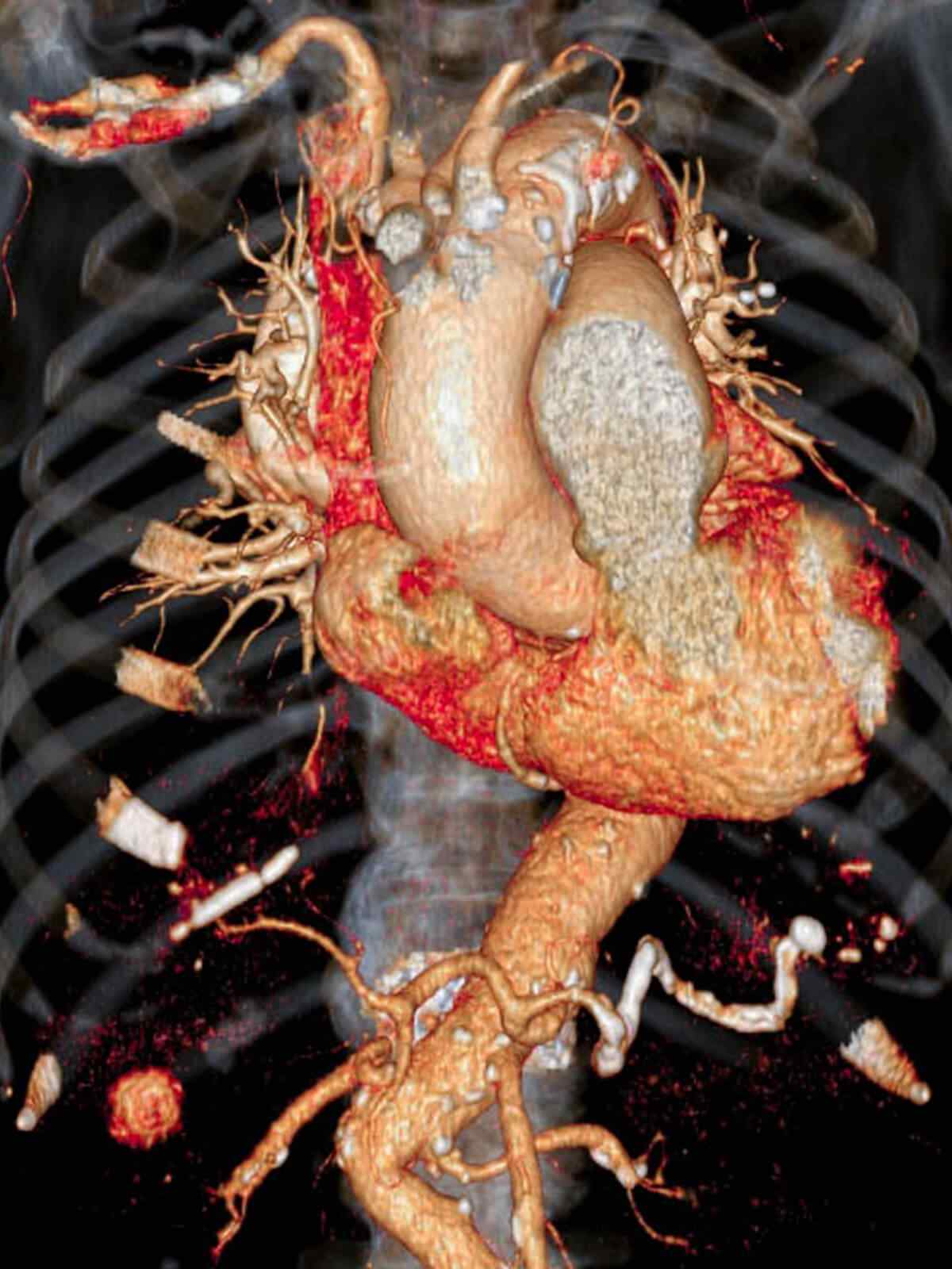 single_service_01 https://hale.sosyaloq.com.tr/wp-content/uploads/2021/09/single_service_01.jpg